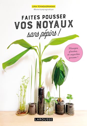 Faites pousser vos noyaux sans pépins !