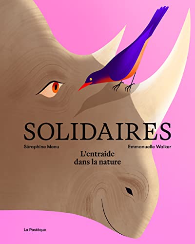 Solidaires